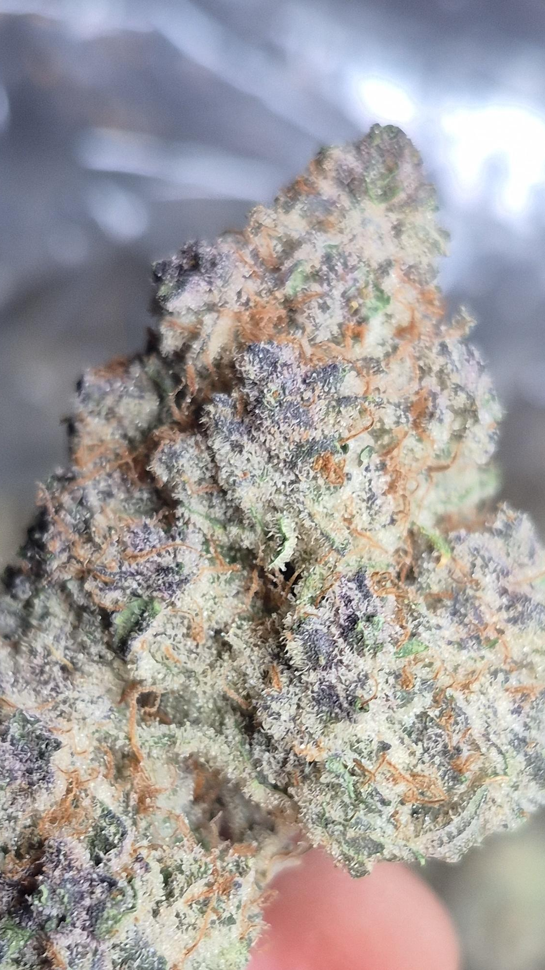 Organic grown Super Boof