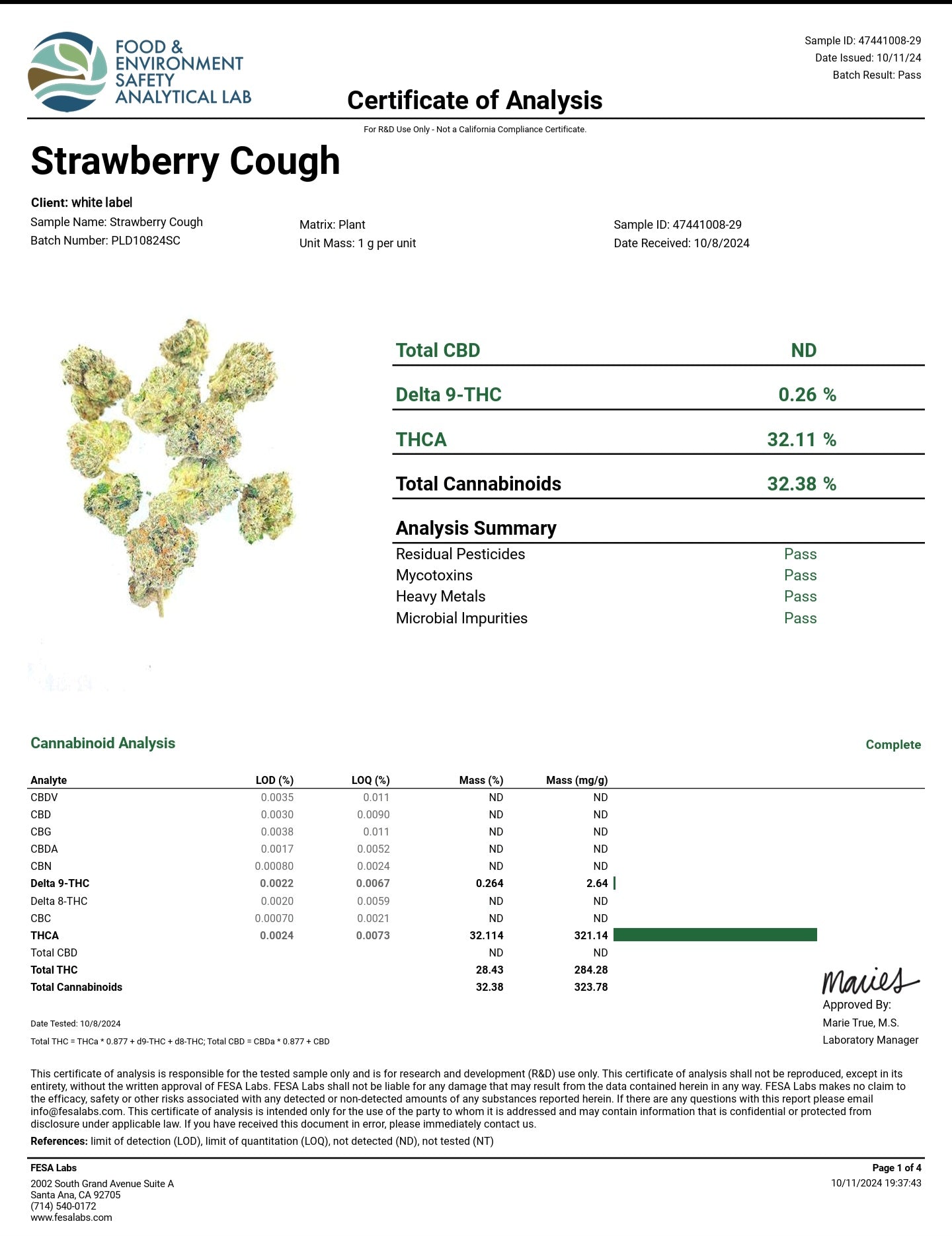 🍓 Strawberry Cough
