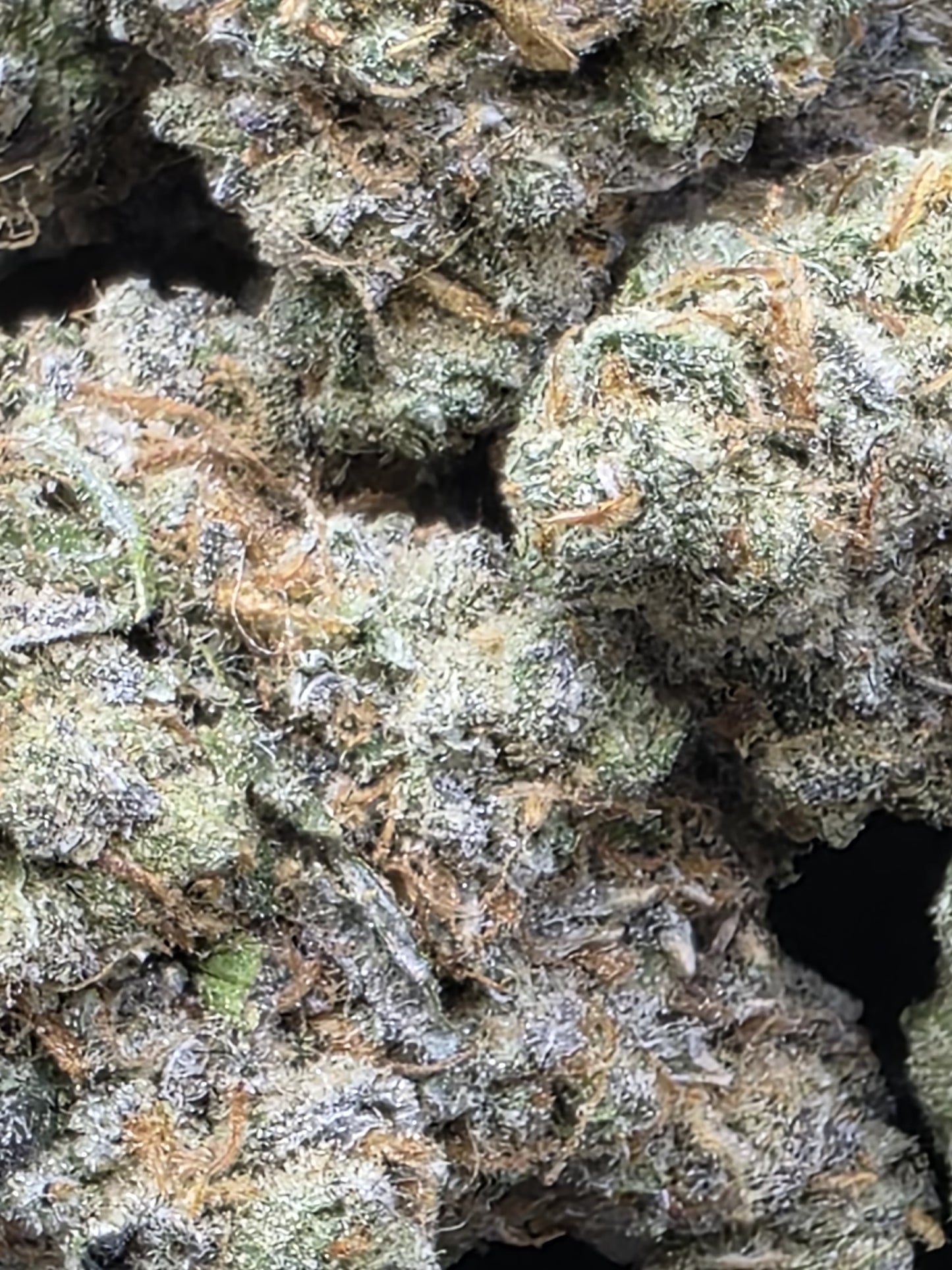 1/4 Pounder of current flavors.