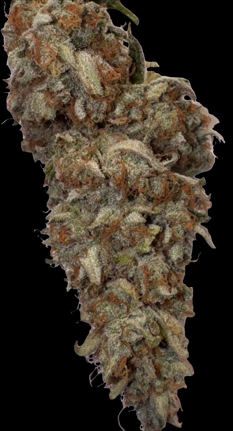 💥 Super Boof