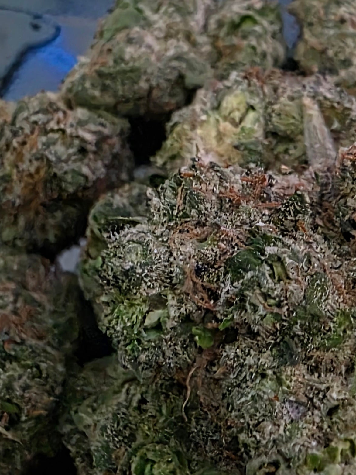 Larry look alike                  Thca hemp flower! Very limited