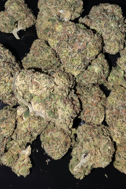White Rhino 🦏