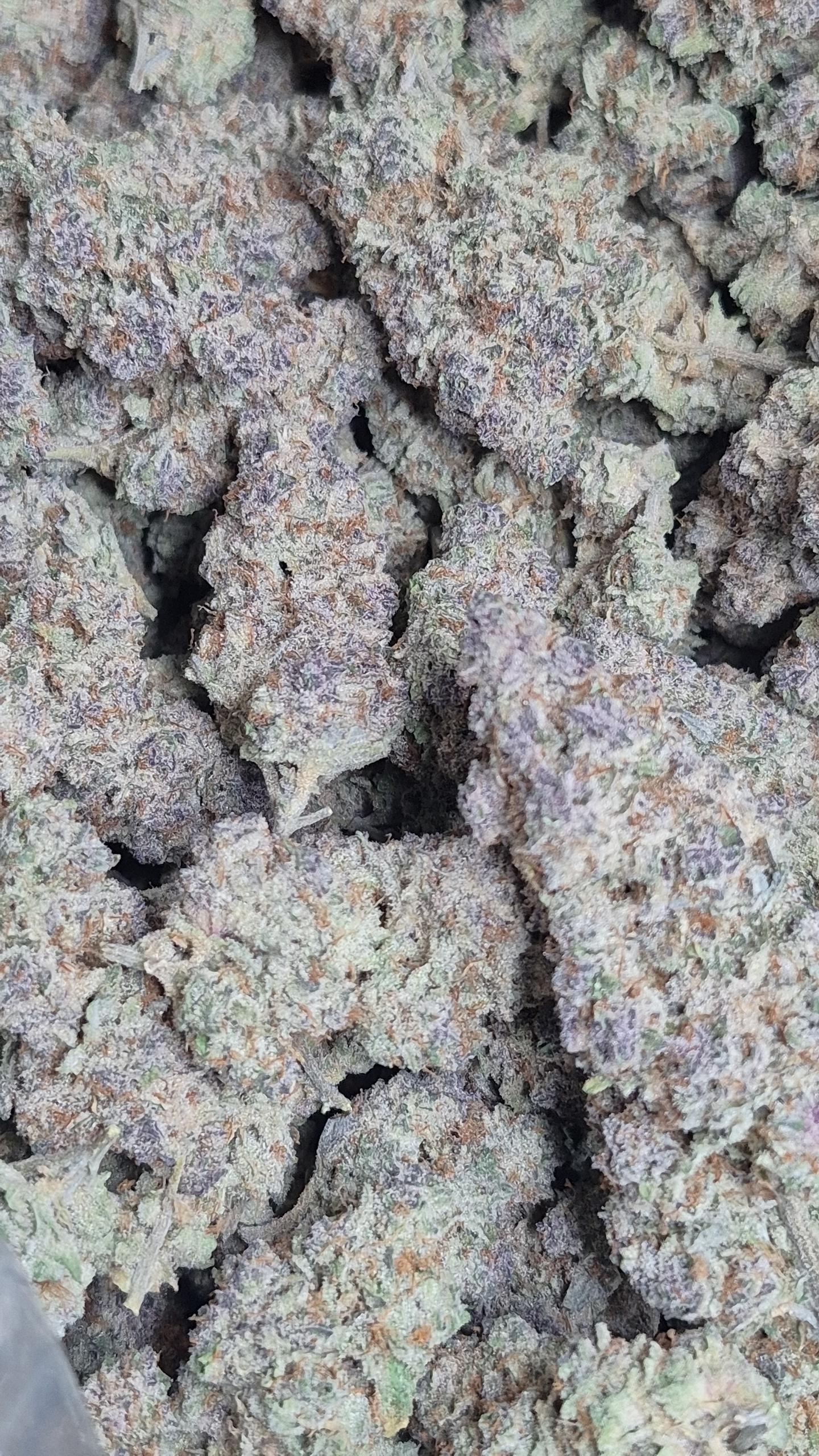 Organic grown Super Boof