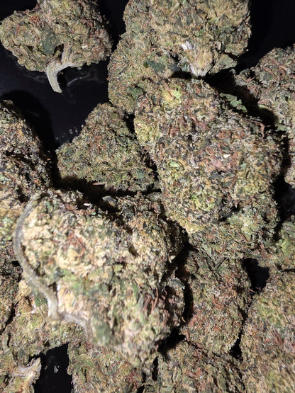White Rhino 🦏